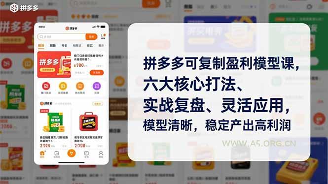拼多多可复制盈利模型课,六大核心打法、实战复盘、灵活应用,模型清晰,稳定产出高利润-小红泡