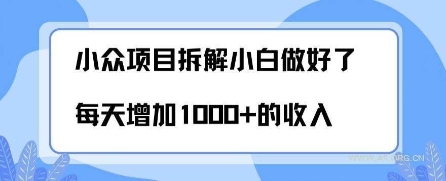 小众项目拆解,小白做好了每天可增加1000多的收入-小红泡
