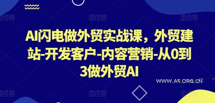 AI闪电做外贸实战课,外贸建站-开发客户-内容营销-从0到3做外贸AI-小红泡