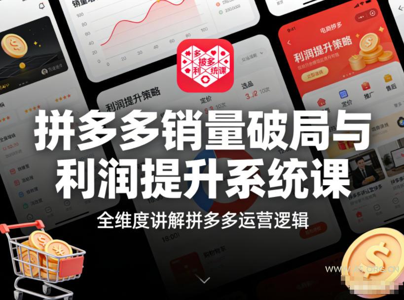拼多多销量破局与利润提升系统课,全维度讲解拼多多运营逻辑-小红泡