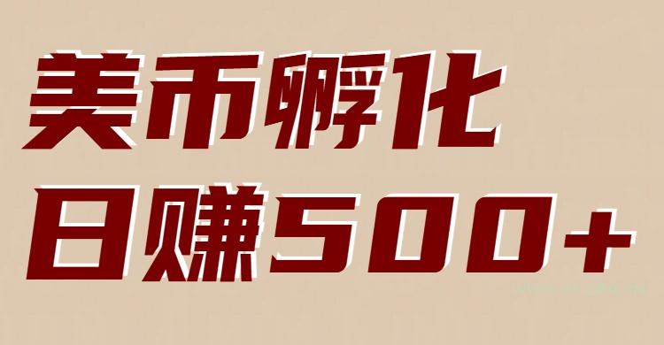 美币孵化：电脑全自动挂机赚美金，小白轻松上手-小红泡