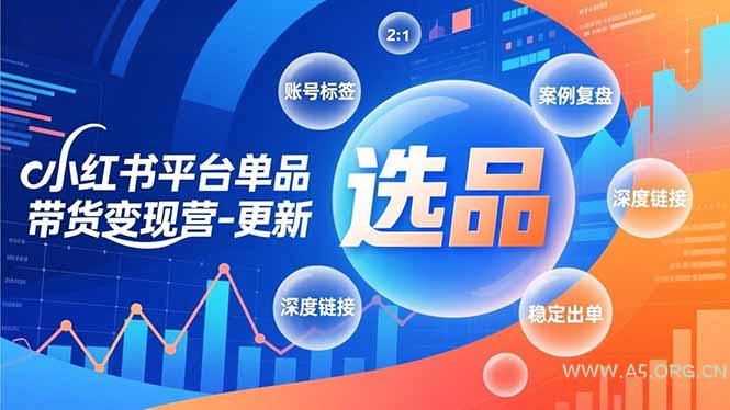 小红书平台单品带货变现营-更新，极致选品、账号标签、案例复盘，深度链接，快速启动稳定出单-小红泡