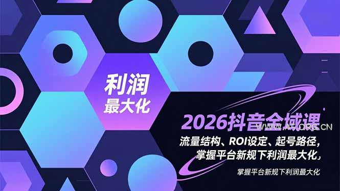 2026抖音全域课,流量结构、ROI设定、起号路径,掌握平台新规下利润最大化-小红泡