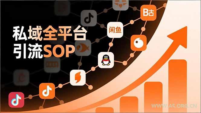 私域全平台引流SOP,抖音/快手/小红书/微信/QQ/B站/闲鱼等,技术合集,高效转化公域流量-小红泡