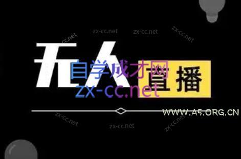 宝子哥·无人直播-非实时防风技术(更新2026)-小红泡