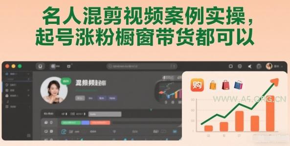 名人混剪视频案例实操,起号涨粉橱窗带货都可以-小红泡