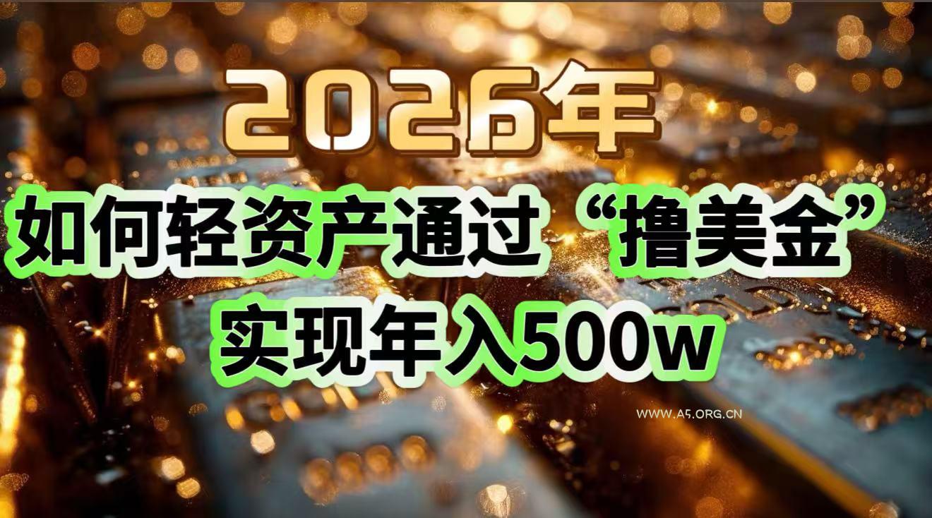 2026年如何轻资产通过“撸美金”实现年入500w-小红泡
