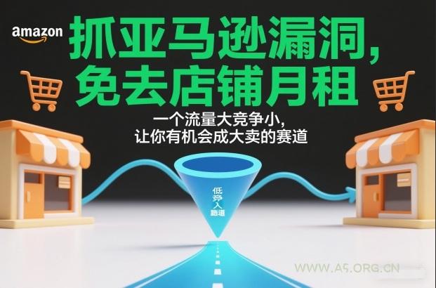 抓亚马逊漏洞,免去店铺月租,一个流量大竞争小,让你有机会成大卖的赛道-小红泡