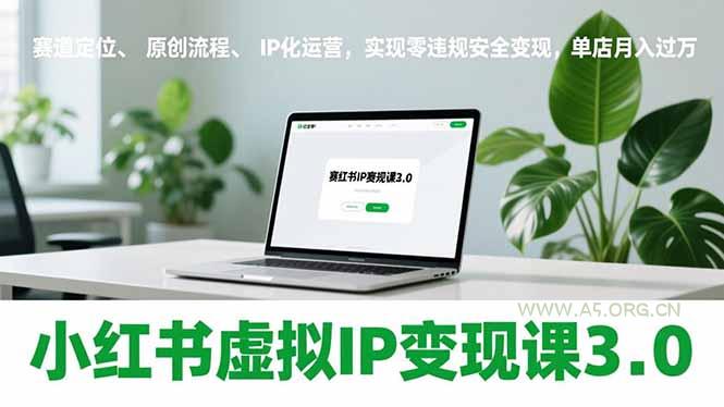 小红书虚拟IP变现课3.0，赛道定位、原创流程、IP化运营，实现零违规安全变现，单店月入过万-小红泡