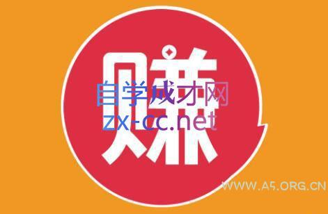 小淘项目组网赚永久会员(更新2026)-小红泡