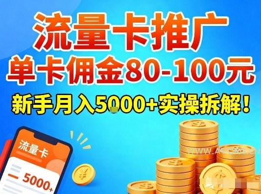 流量卡推广，单卡佣金80-100，新手月入5k+实操拆解！-小红泡