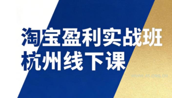 淘宝盈利实战班杭州线下课12月26-28日(音频+字幕),帮你掌握SOP流程+12门核心技术-小红泡