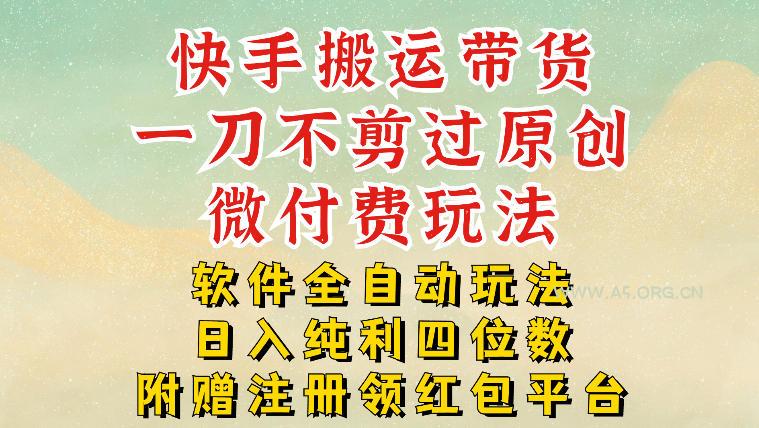 快手搬运带货，一刀不剪过原创，微付费玩法，软件全自动玩法，日入纯利四位数【揭秘】-小红泡