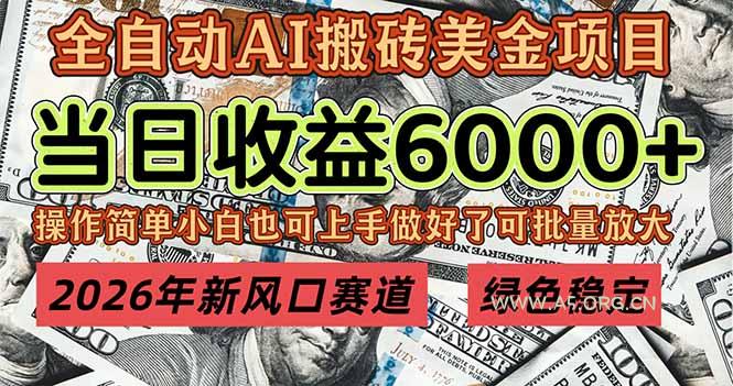 2026年新风口赛道,当日6000+以上,可批量放大,月收入20万+,长期绿色稳定的项目-小红泡