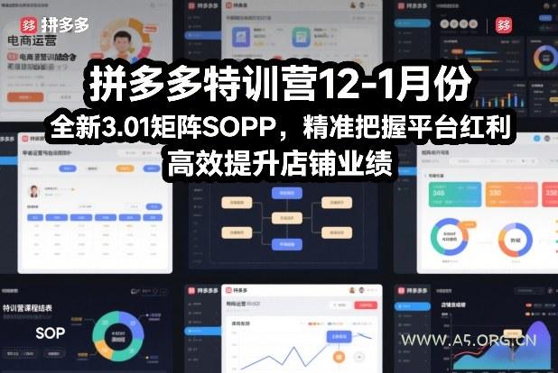拼多多特训营12-1月份，全新3.01矩阵Sop，精准把握平台红利，高效提升店铺业绩-小红泡
