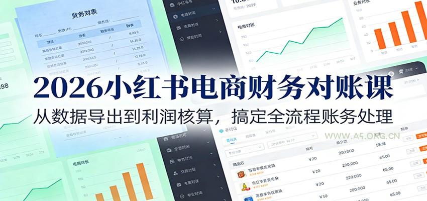 2026小红书电商财务对账课:从数据导出到利润核算,搞定全流程账务处理-小红泡