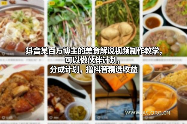 抖音某百万博主的美食解说视频制作教学,可以做伙伴计划,分成计划,撸抖音精选收益-小红泡