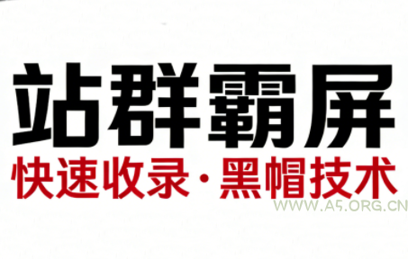 SEO野路子实战全集:快速收录、站群霸屏、黑帽技术-小红泡