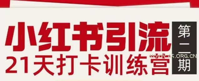 小红书引流21天打卡训练营第二期，助你快速打通小红书私域引流打粉-小红泡