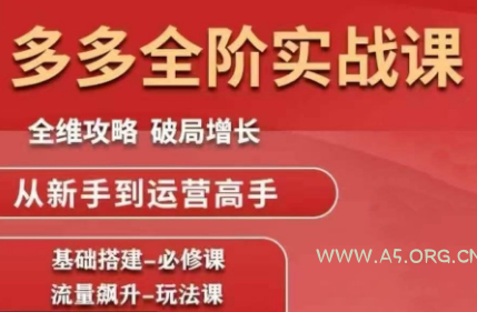 大炮·拼多多全阶实战课程(更新2026)-小红泡