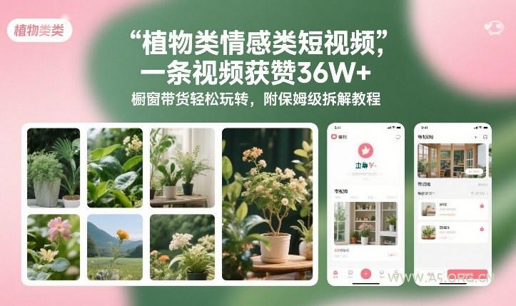 植物类情感类短视频,一条视频获赞36W+,橱窗带货轻松玩转,附保姆级拆解教程-小红泡