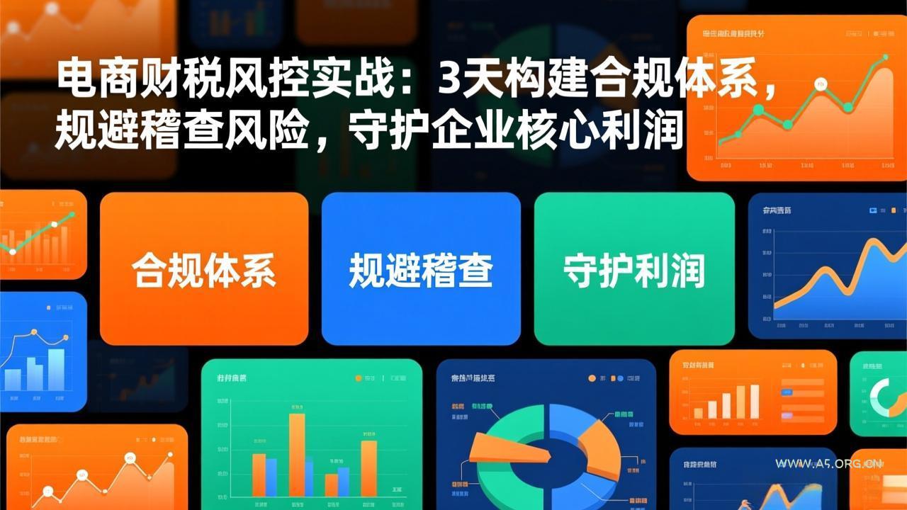 电商财税风控实战:3天构建合规体系,规避稽查风险,守护企业核心利润-小红泡
