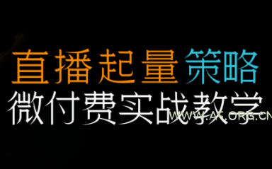 半野老师·直播带货起量与微付费必学课视频号(更新2026)-小红泡
