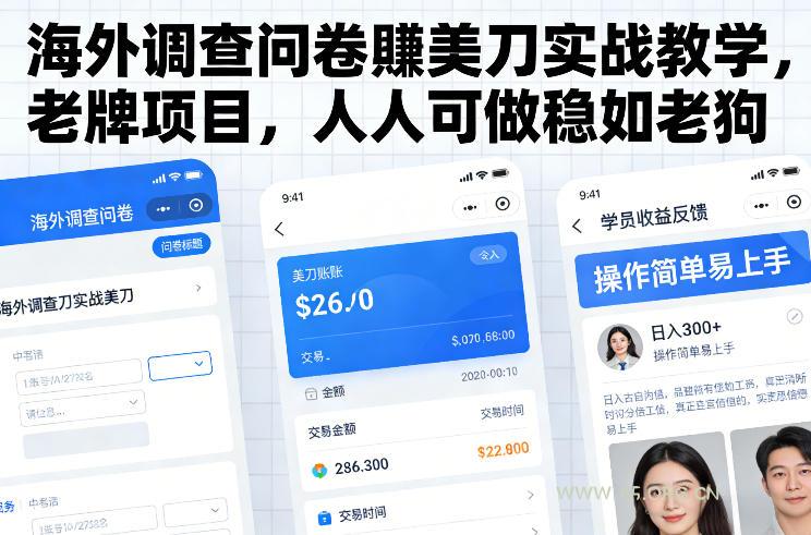 海外调查问卷賺美刀实战教学,老牌项目,人人可做稳如老狗-小红泡