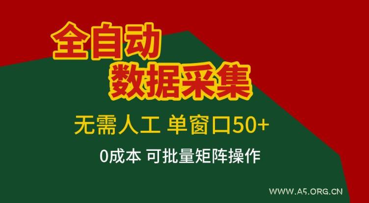 全自动数据采集，无需人工，单窗口50+，0成本可批量矩阵操作【揭秘】-小红泡