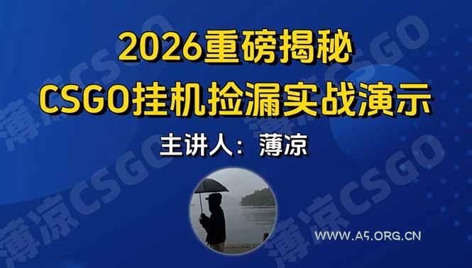 CSGO游戏挂机游戏搬砖最新升级,普通小白一部手机可日入300+当天见结果,支持验证-小红泡