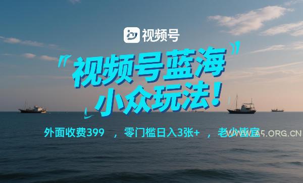 视频号蓝海小众玩法!外面收费399,零门槛日入3张+,老少皆宜-小红泡