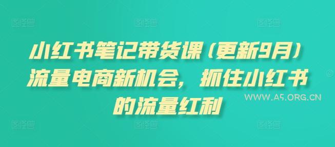 小红书笔记带货课,流量电商新机会,抓住小红书的流量红利(更新26年2月)-小红泡