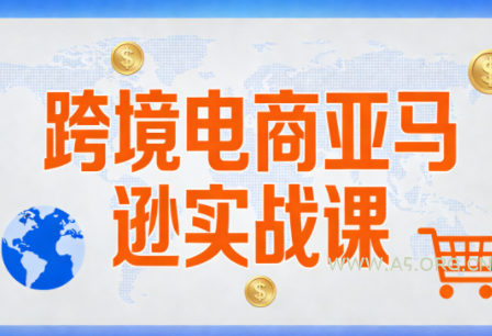 跨境电商亚马逊实战课(更新2月)-小红泡