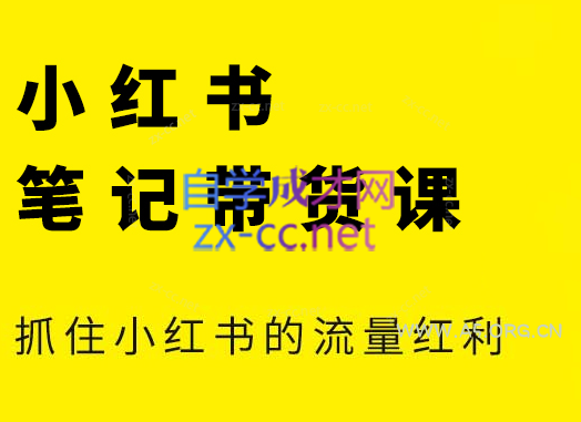 张宾·小红书笔记带货课(更新2026)-小红泡