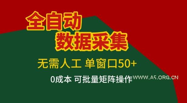 全自动数据采集项目,无需人工,单窗口可达50+收益,操作简单无难度,一个人也能轻松实现矩阵【揭秘】-小红泡
