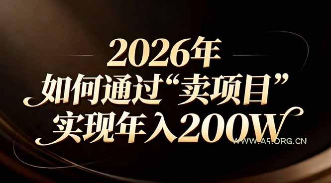 站在2026年的十字路口:一个普通人如何通过卖项目实现年入200万-小红泡