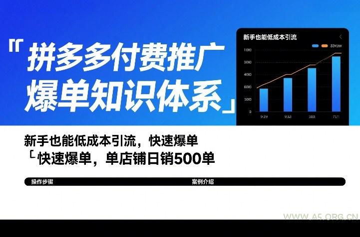 拼多多付费推广爆单知识体系，新手也能低成本引流，快速爆单，单店铺日销500单-小红泡