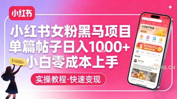 小红书女粉黑马项目，单篇帖子日入1k+，小白零成本上手-小红泡