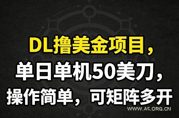 DL撸美金项目,单日单机50美刀,操作简单,可矩阵多开-小红泡