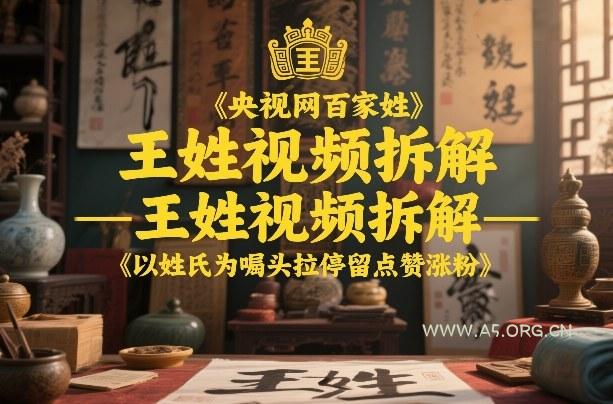 央视网百家姓–王姓视频拆解，以姓氏为噱头拉停留点赞涨粉-小红泡