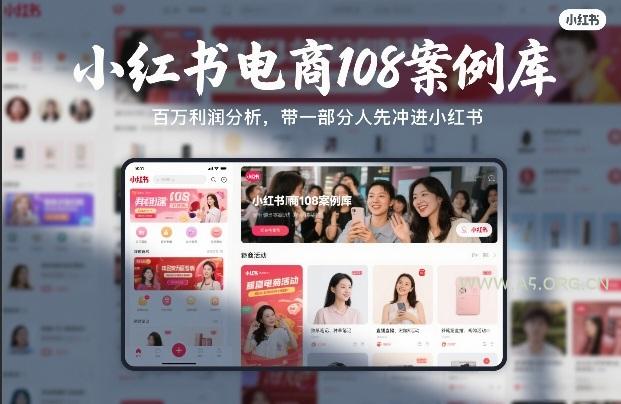 小红书电商108案例库，百W利润分析，带一部分人先冲进小红书【文档】-小红泡