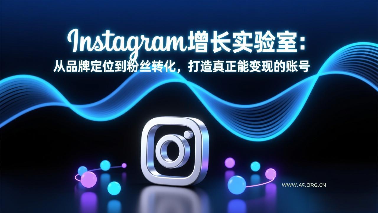 Instagram增长实验室:从品牌定位到粉丝转化,打造真正能变现的账号-小红泡