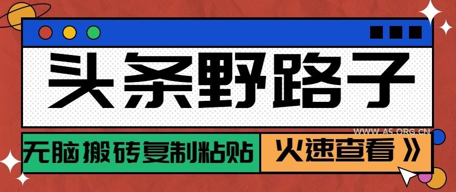 头条单账号日收益300+野路子玩法赛道,无脑搬砖复制粘贴,保姆级教程-小红泡