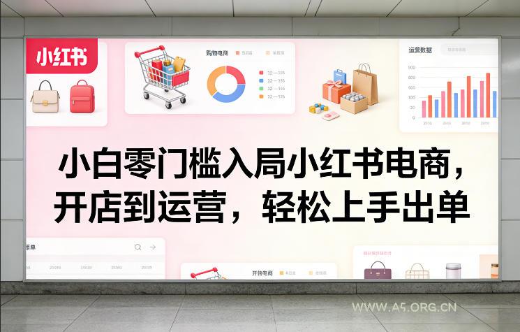 小白零门槛入局小红书电商，开店到运营，轻松上手出单-小红泡