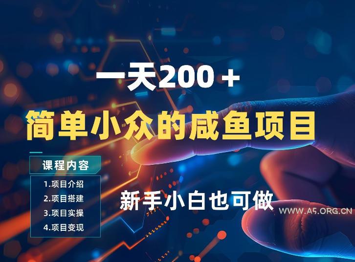 一天收入2张，一个简单小众的咸鱼项目，0门槛小白也能做-小红泡