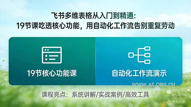 飞书多维表格从入门到精通：19节课吃透核心功能，用自动化工作流告别重复劳动-小红泡
