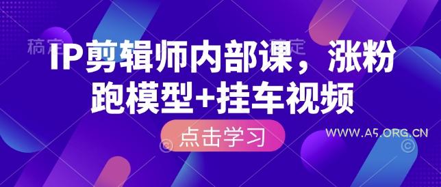 IP剪辑师内部课，涨粉跑模型+挂车视频(更新)-小红泡