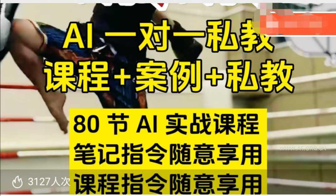 AI指令实战课,课程+案例,80节AI实战课程,笔记指令随意享用,课程指令随意享用(更新26年3月)-小红泡