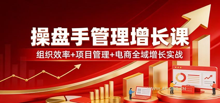 操盘手管理增长课:组织效率+项目管理+电商全域增长实战-小红泡
