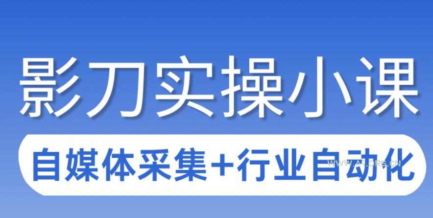 3天攻克影刀RPA:自媒体数据采集+行业自动化全流程-小红泡